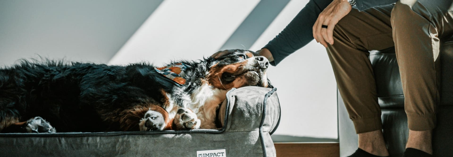 slider image slider_item_3